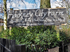 Hackney City Farm