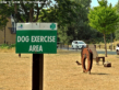 The dog exercise area