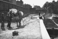 An old photo of canal life