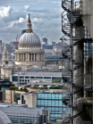 Saint Pauls from The Garden at 120 Fenchurch Street